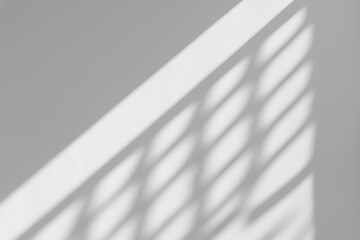 JPG Abstract Realistic Shadow Overlay on the Wall	