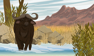 An African buffalo stands in the water. Pond at the foot of the mountains. Realistic vector African landscape