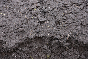 Black earth texture, humus, fertile soil. Background.