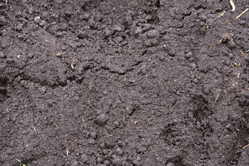 Black earth texture, humus, fertile soil. Background.