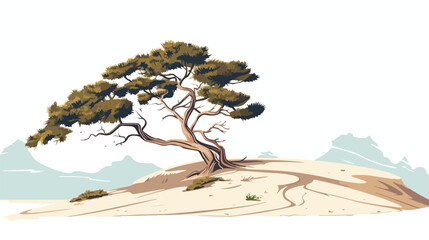Pine tree in sand dune parangkusumo yogyakarta l