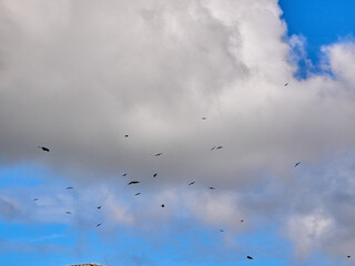 White fluffy clouds in the deep blue sky. Heaven background