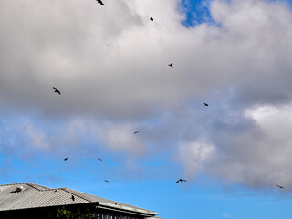 White fluffy clouds in the deep blue sky. Heaven background