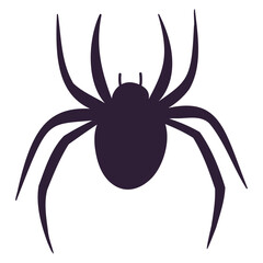 spider black silhouette