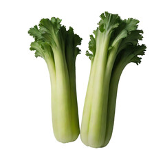 Detailed Celery Isolated on Transparent or White Background: High-Quality PNG Images