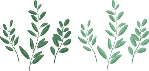 botanical leaves Hand-drawn vector illustration. White background.	