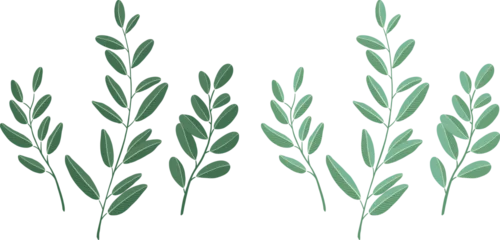 Fotobehang botanical leaves Hand-drawn vector illustration. White background.  © PEPERIRO