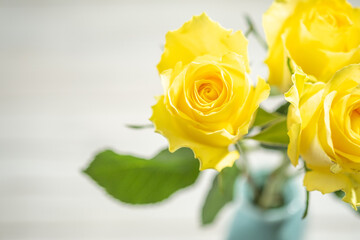 黄色い薔薇と父の日のイメージ