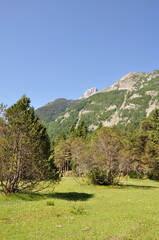 Die Isar bei Mittenwald