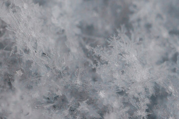 close-up macrophotography of crystals of geometric patterns of snowflakes