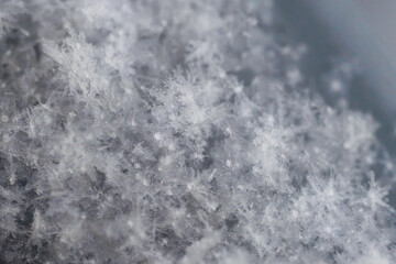 close-up macrophotography of crystals of geometric patterns of snowflakes