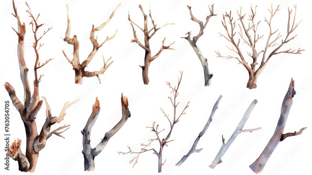 Poster a group of bare trees in a winter forest. suitable for nature and landscape designs