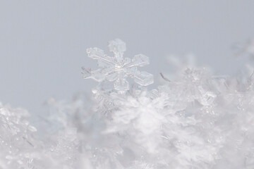 close-up macrophotography of crystals of geometric patterns of snowflakes