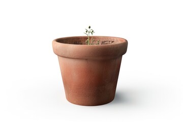 A small plant in a clay pot on a white surface. Suitable for home decor