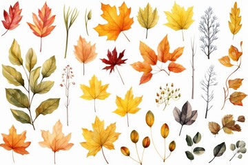 Obraz premium Various colored leaves on a plain white backdrop. Ideal for autumn-themed designs