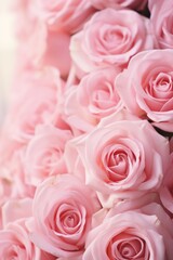 A close up view of a bunch of pink roses. Perfect for floral backgrounds or romantic themes