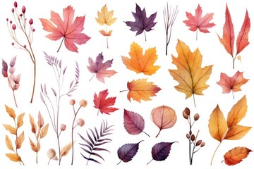 Various colored leaves on a plain white background, suitable for autumn themes
