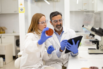 Obraz premium Lab technicians examine petri dish with tablet in laboratory