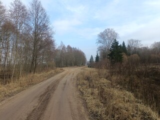 Road in forest in Siauliai county during cloudy early spring day. Oak and birch tree woodland. cloudy day with white clouds in blue sky. Bushes are growing in woods. Sandy road. Nature. Miskas.	