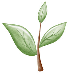 Watercolor small tree.