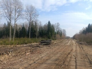 Road in forest in Siauliai county during cloudy early spring day. Oak and birch tree woodland. cloudy day with white clouds in blue sky. Bushes are growing in woods. Sandy road. Nature. Miskas.	