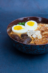 Ramen served in a bowl with egg, tofu, chicken breast, mushroom, sapporo, donkocheu, soup ramen, single serving, fine dining, Japanese cuisine, chives, food photography, restaurant menu