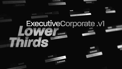 Executive V1 Corporate Lower Thirds