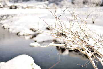 岐阜県の雪景