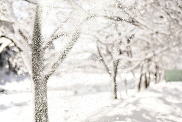 岐阜県の雪景