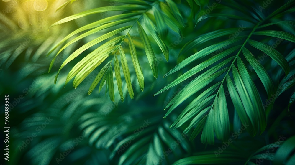 Poster a stripe of palm leaf on a background of abstract green texture, with a vintage vibe