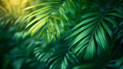A stripe of palm leaf on a background of abstract green texture, with a vintage vibe