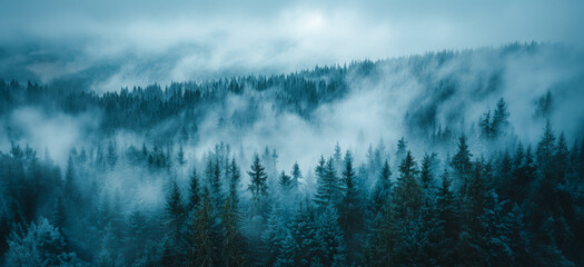Dark fog and mist over a moody forest landscape