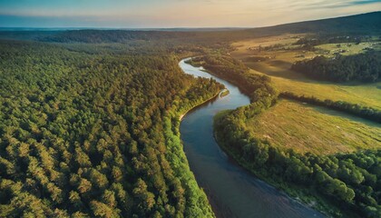 Fototapeta na wymiar Beautiful river flowing through the endless forest, drone shot, nature, environment