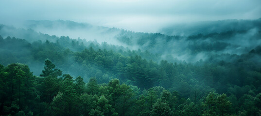 Dark fog and mist over a moody forest landscape