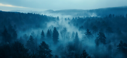 Dark fog and mist over a moody forest landscape - obrazy, fototapety, plakaty