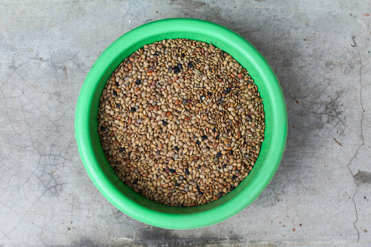 Horse gram seeds in a pot top view 
