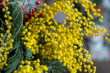 Mimosa branch with red holly