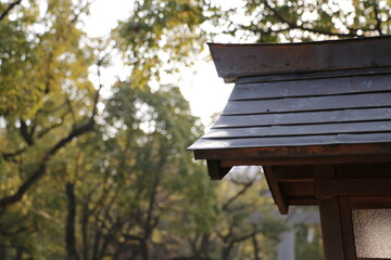 秋のお寺の風景