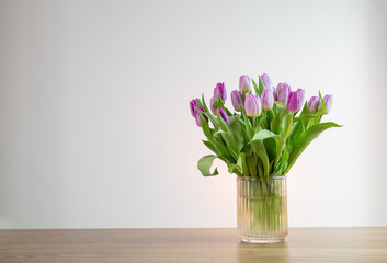 pink tulips in glass vase on white background