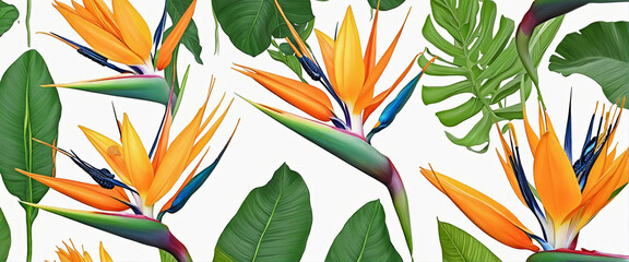 Set with beautiful Bird of Paradise tropical flowers and green leaves on white background - obrazy, fototapety, plakaty