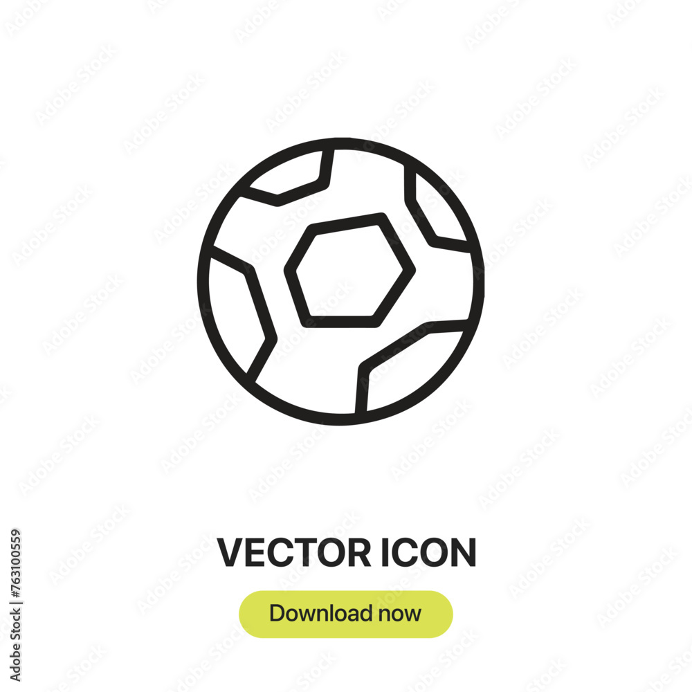 Leinwandbilder soccer ball icon vector. linear-style sign for mobile concept and web design. soccer ball symbol ill