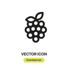 Raspberry icon vector. Linear-style sign for mobile concept and web design. Raspberry symbol illustration. Pixel vector graphics - Vector.	
