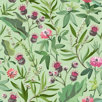 Seamless pattern. Flowers - Burdock, Clover, Achillea Millefolium and grass isolated on green background. Hand-drawn illustrations of wildflowers.
