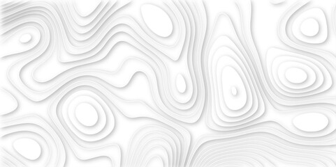 Abstract geometric layered curve line white background. 3d render, paper cut vector art background banner texture. multi layer cutout geometric patterns with smooth wavy layer. white background.