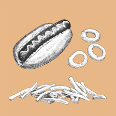 American dishes. Hand-drawn illustration of Hot Dog. Vector. Ink drawing.	 - 763103913