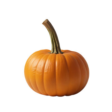 Detailed Pumpkin Isolated on Transparent or White Background: High-Quality PNG Images