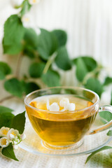 Cup of tea. Jasmine fragrant herbal tea on a light pastel background. Antioxidant, dietary tea for weight loss and blood pressure.	
