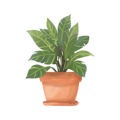 Green house plant in pot isolated on white background. Hand drawn vector illustration.