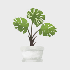 Green house plant in pot isolated on white background. Hand drawn vector illustration.