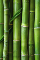 Close-Up Green Bamboo Stalk Texture. Close-up of green bamboo stalks, perfect for backgrounds related to nature and tranquility.